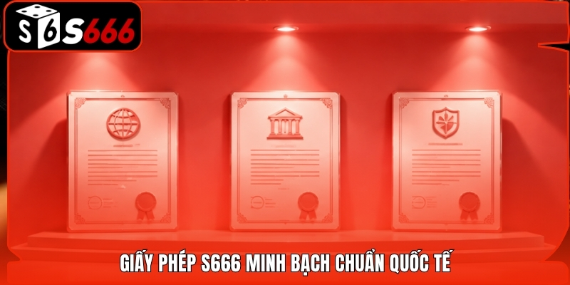 Giấy phép S666 minh bạch chuẩn quốc tế